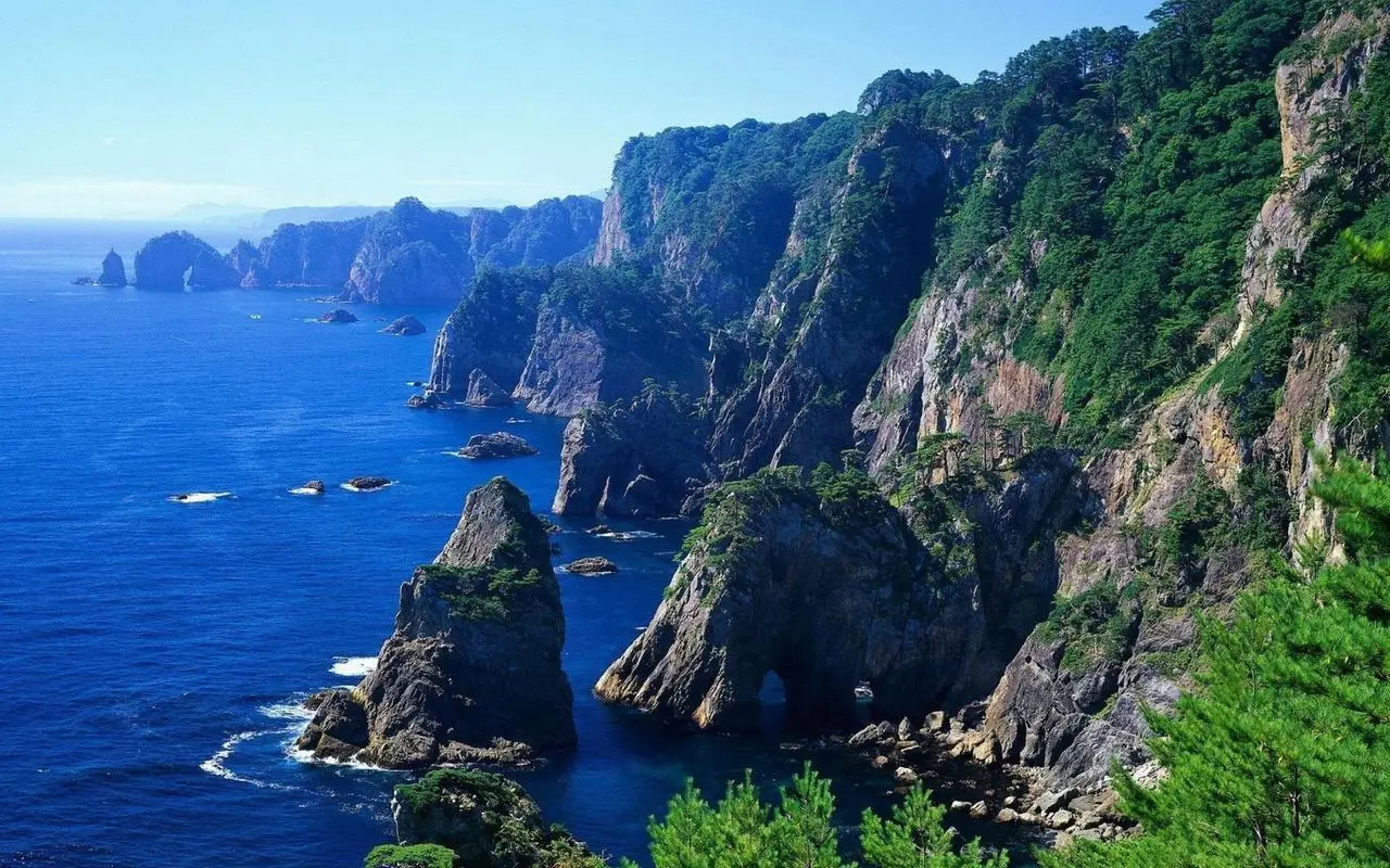 全自动高端